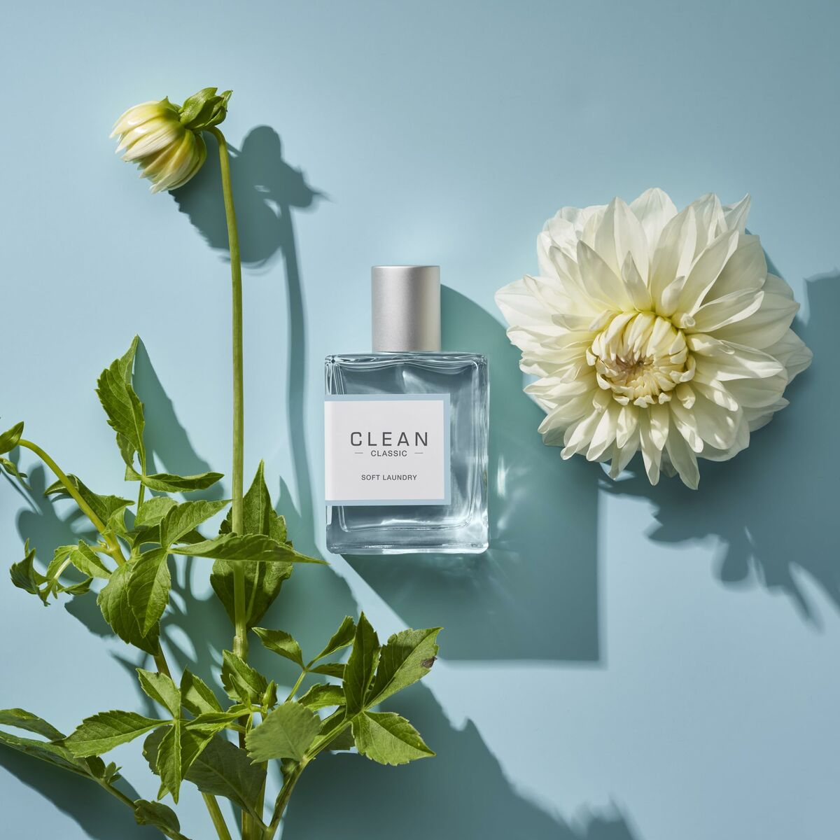 Unisex Perfume Clean Beauty, Perfumes and fragrances von Clean | Luxus Aroma