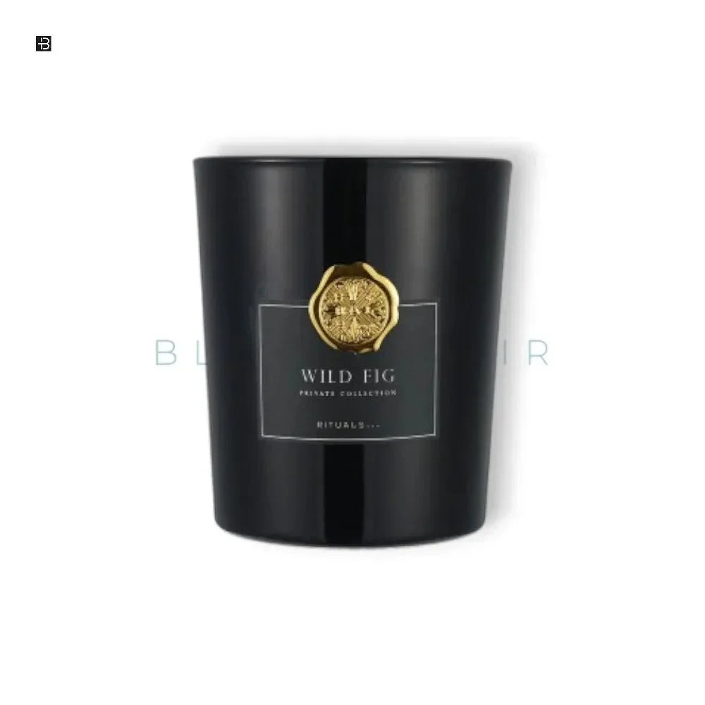 Schwarze Duftkerze Wild Fig mit goldener Verzierung, luxuriöses Design, edle Deko
