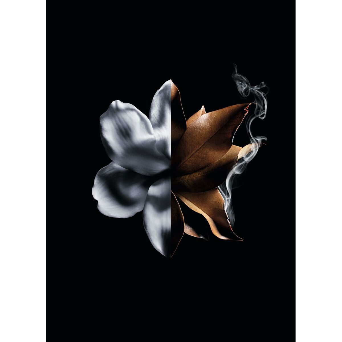 Women's Perfume Givenchy L'Interdit Absolu L'Interdit Absolu 50 ml Beauty, Perfumes and fragrances von Givenchy | Luxus Aroma