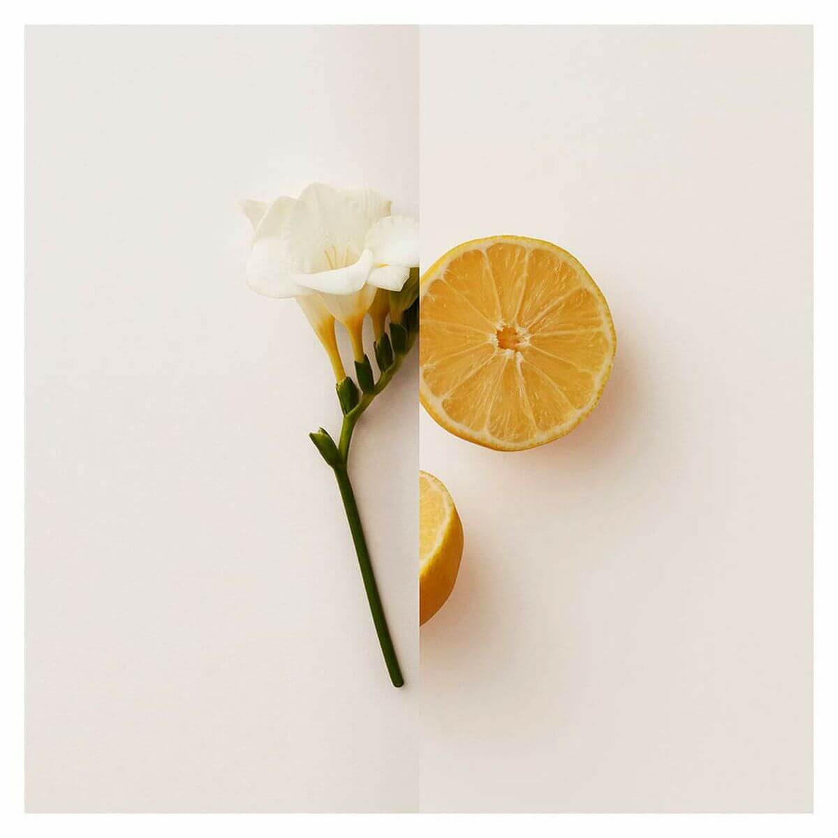 Women's Perfume Burberry My Burberry EDP Beauty, Perfumes and fragrances von Burberry | Luxus Aroma