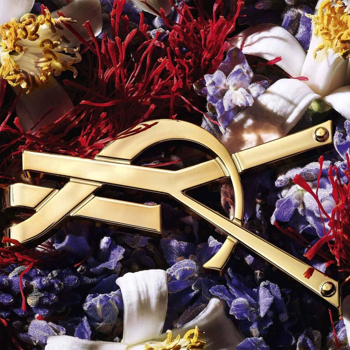 Women's Perfume YSL LIBRE EDP Beauty, Perfumes and fragrances von YSL | Luxus Aroma