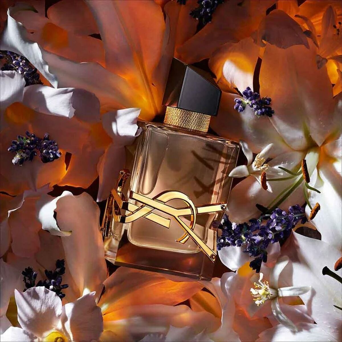 Women's Perfume YSL Libre Edp Florale EDP Beauty, Perfumes and fragrances von YSL | Luxus Aroma