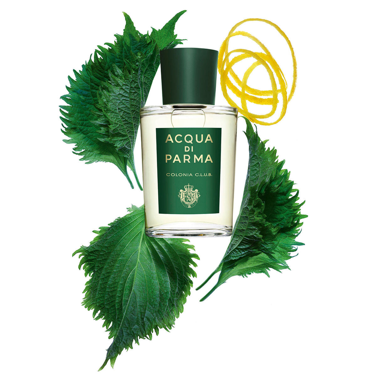 Unisex Perfume Acqua Di Parma Colonia Club EDC 100 ml 96 g Beauty, Perfumes and fragrances von Acqua Di Parma | Luxus Aroma