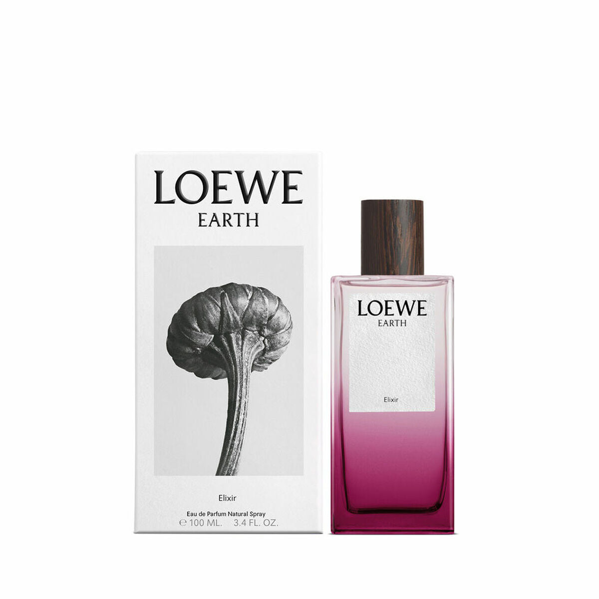 Women's Perfume Loewe EARTH 100 ml Beauty, Perfumes and fragrances von Loewe | Luxus Aroma