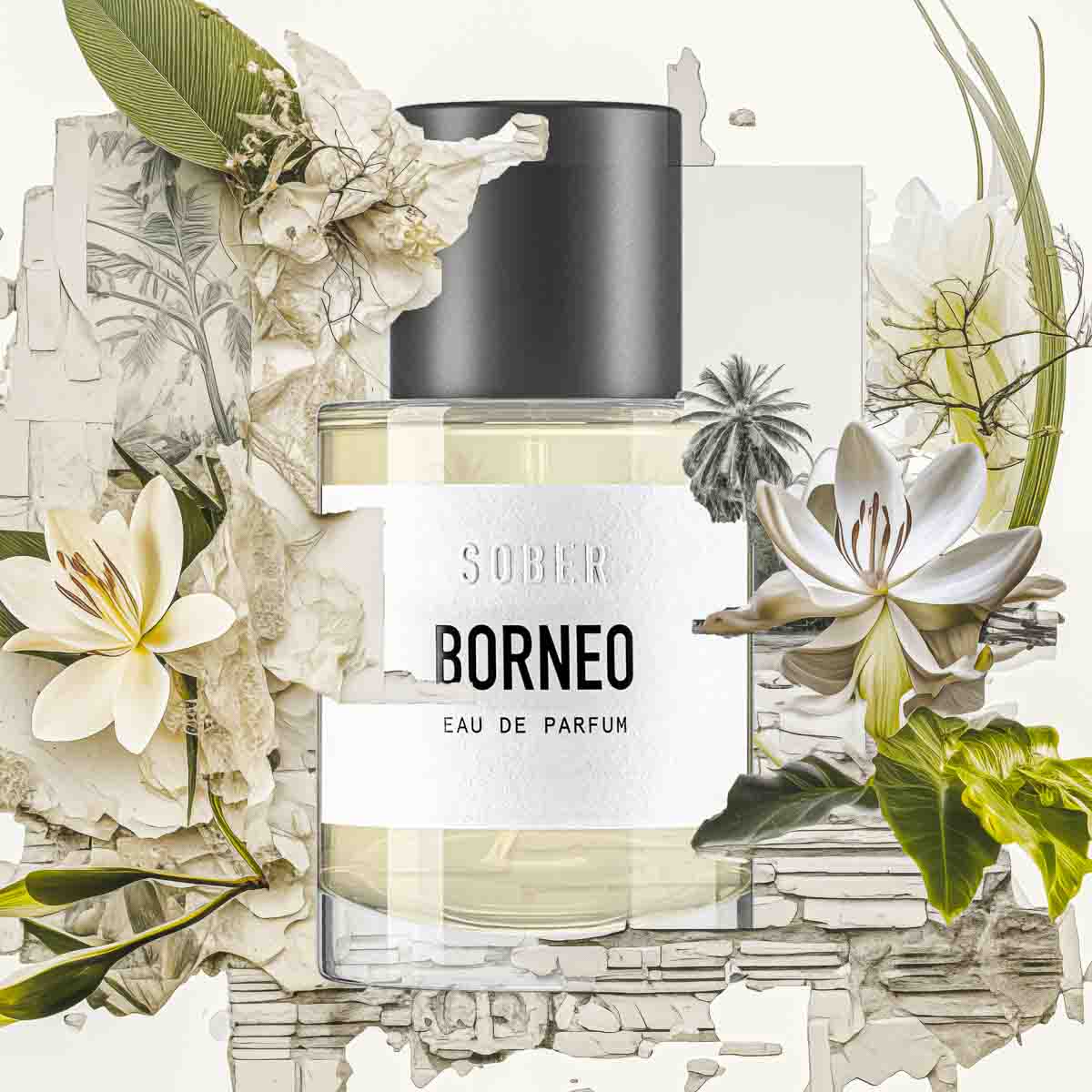BORNEO - Eau de Parfum Parfum von sober | Luxus Aroma