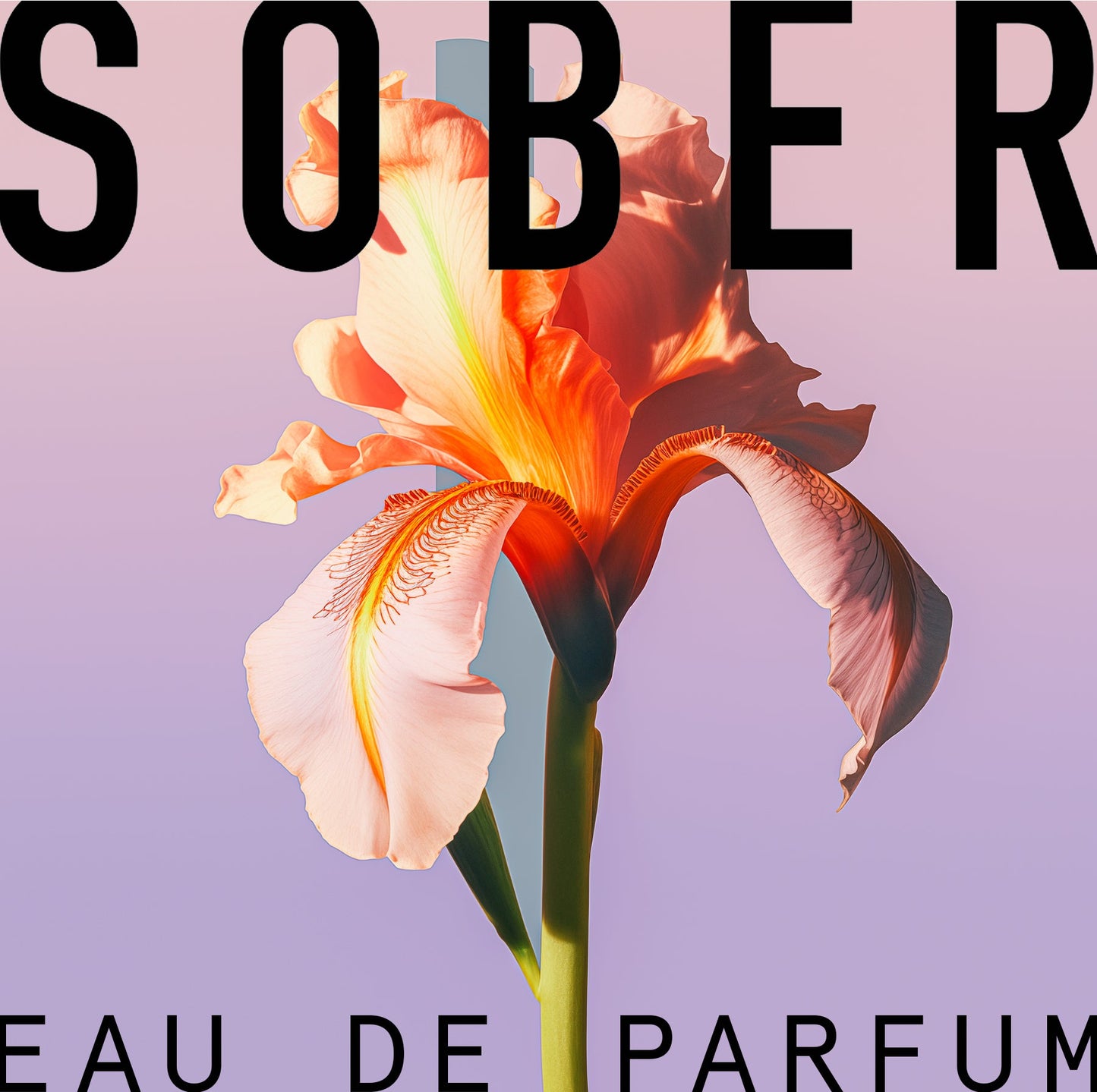 Discovery Set - Floral Parfum von sober | Luxus Aroma