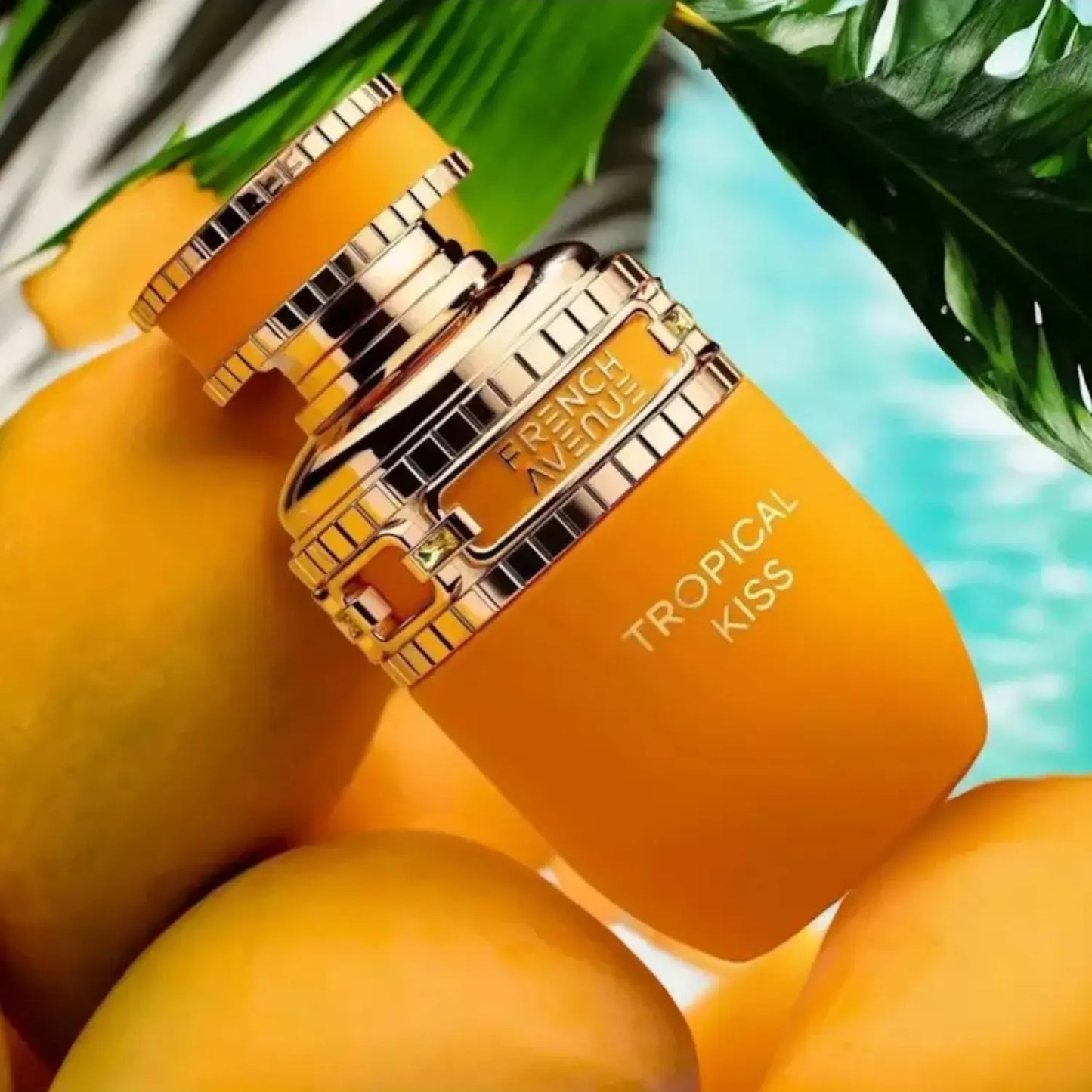 French Avenue Tropical Kiss Eau de Parfum 80ml Beauty, Perfumes and fragrances von French Avenue | Luxus Aroma