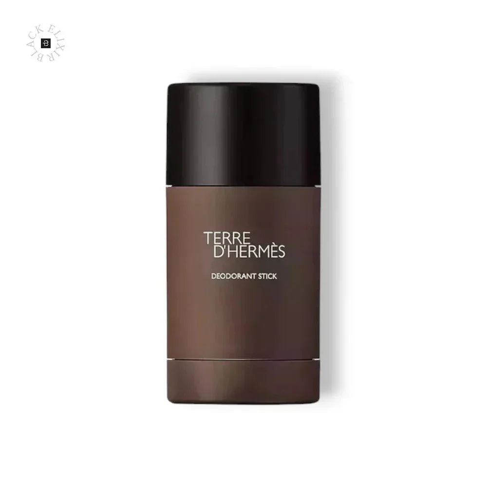 Brauner Terre dâHermès Deo Stick 75 ml mit schwarzem Deckel, Luxuskosmetik fĂźr Herren