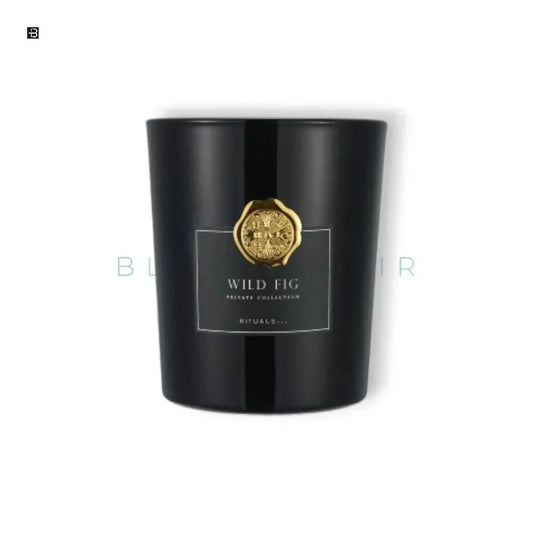Schwarze Duftkerze Wild Fig mit goldener Verzierung, luxuriöses Design, edle Deko