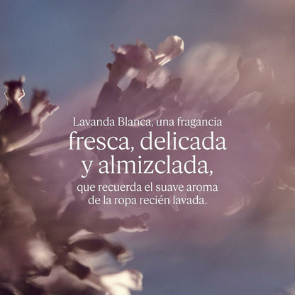 Women's Perfume L'Occitane En Provence LAVANDE 50 ml Beauty, Perfumes and fragrances von L'Occitane En Provence | Luxus Aroma