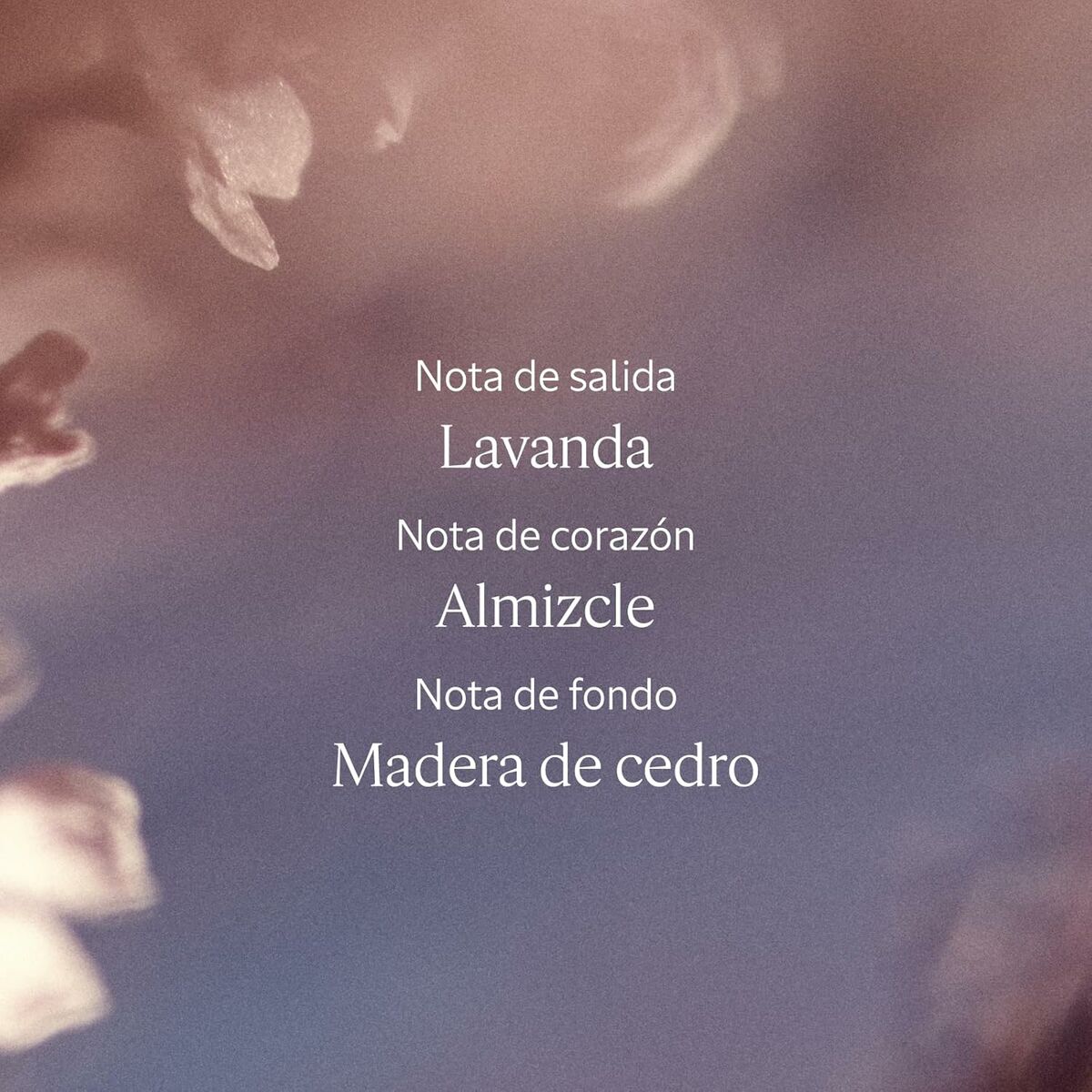 Women's Perfume L'Occitane En Provence LAVANDE 50 ml Beauty, Perfumes and fragrances von L'Occitane En Provence | Luxus Aroma