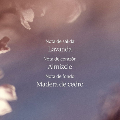 Women's Perfume L'Occitane En Provence LAVANDE 50 ml Beauty, Perfumes and fragrances von L'Occitane En Provence | Luxus Aroma