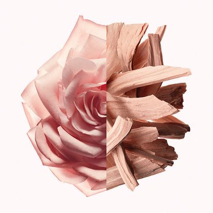 Women's Perfume Givenchy IRRESISTIBLE NUDE VELVET EDP 80 ml Beauty, Perfumes and fragrances von Givenchy | Luxus Aroma