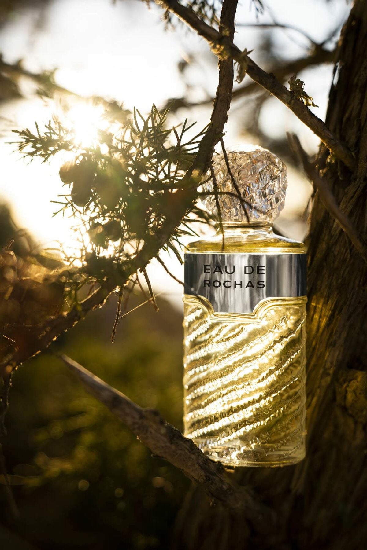 Women's Perfume Rochas RC001A01 EDT - Beauty, Perfumes and fragrances von Rochas | Luxus Aroma