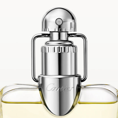 Men's Perfume Cartier Déclaration EDT 100 ml Beauty, Perfumes and fragrances von Cartier | Luxus Aroma