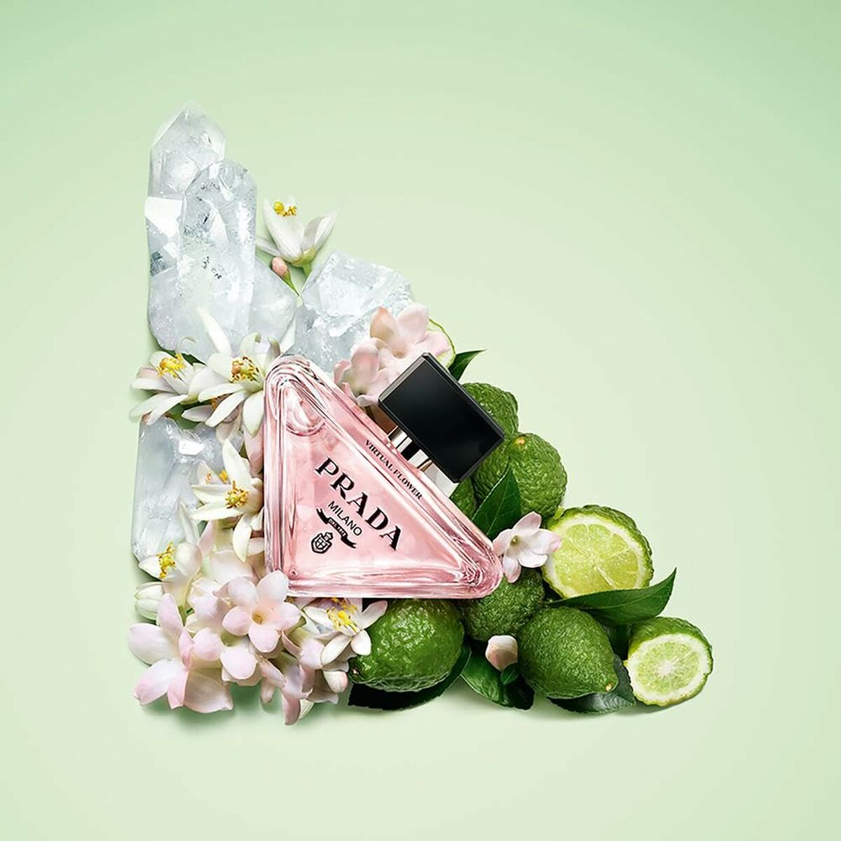 Women's Perfume Prada PRADA PARADOXE Beauty, Perfumes and fragrances von Prada | Luxus Aroma