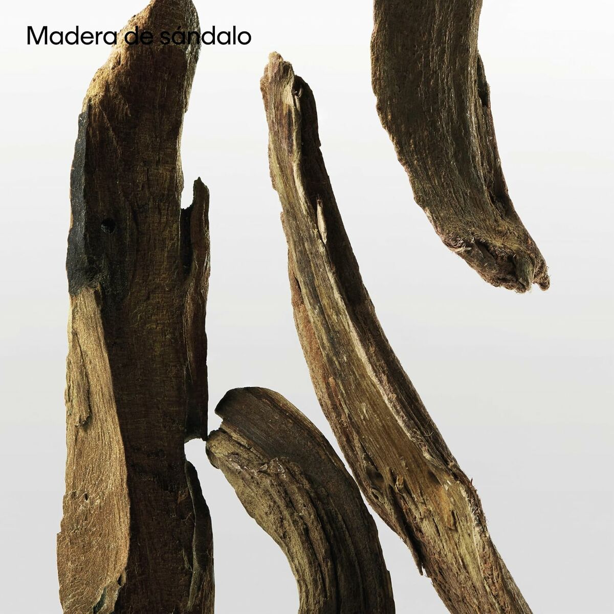 Unisex Perfume Calvin Klein CK Ck One Essence 50 ml Beauty, Perfumes and fragrances von Calvin Klein | Luxus Aroma