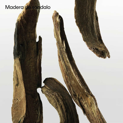 Unisex Perfume Calvin Klein CK Ck One Essence 50 ml Beauty, Perfumes and fragrances von Calvin Klein | Luxus Aroma