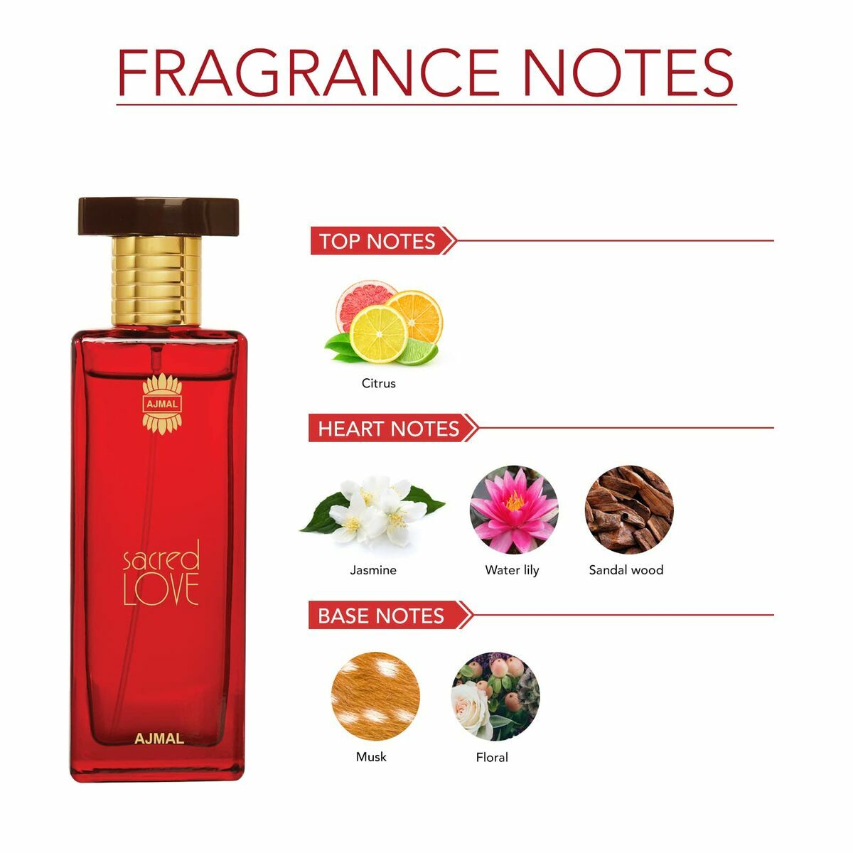 Women's Perfume Ajmal EDP Beauty, Perfumes and fragrances von Ajmal | Luxus Aroma