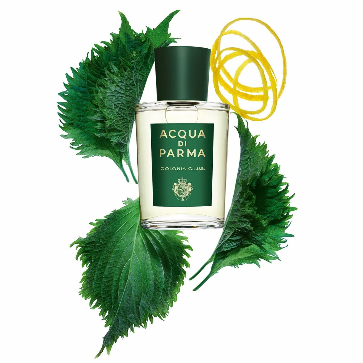 Unisex Perfume Acqua Di Parma Colonia Club EDC 100 ml 96 g Beauty, Perfumes and fragrances von Acqua Di Parma | Luxus Aroma