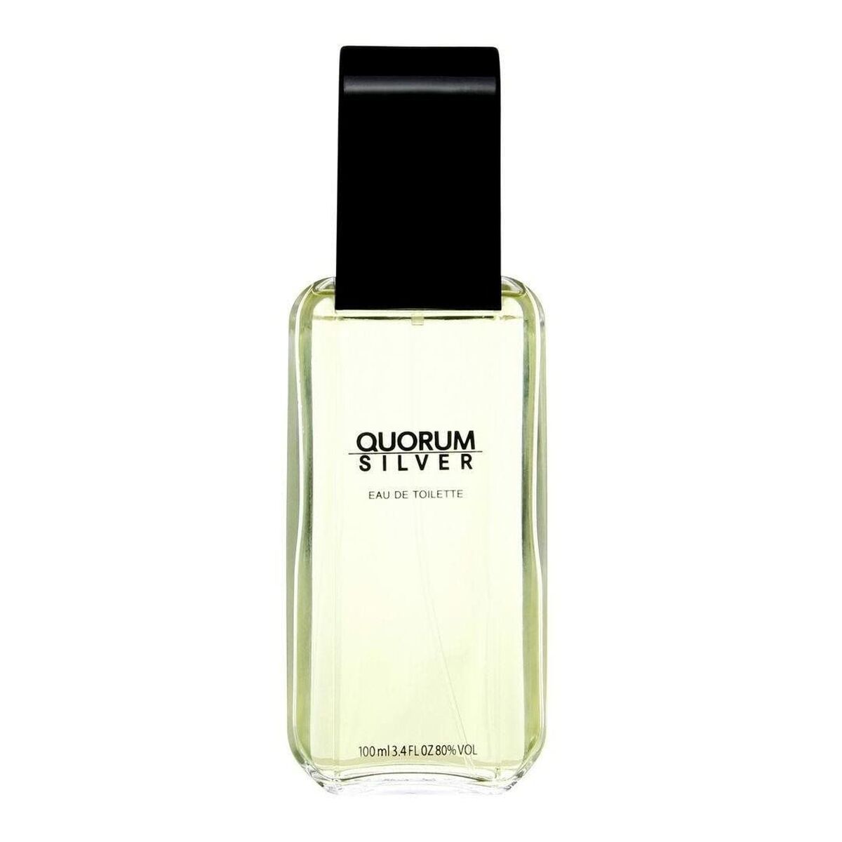 Men's Perfume Antonio Puig EDT Silver Quorum 100 ml Beauty, Perfumes and fragrances von Antonio Puig | Luxus Aroma