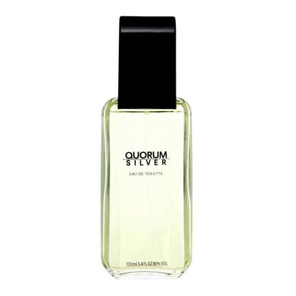 Men's Perfume Antonio Puig EDT Silver Quorum 100 ml Beauty, Perfumes and fragrances von Antonio Puig | Luxus Aroma
