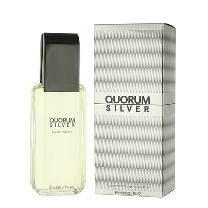 Men's Perfume Antonio Puig EDT Silver Quorum 100 ml Beauty, Perfumes and fragrances von Antonio Puig | Luxus Aroma