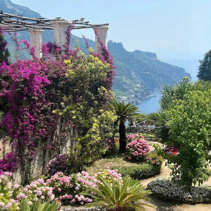 Mediterraner Garten mit blühenden Bougainvillea, Palmen, Berg- und Meerblick an der Amalfiküste