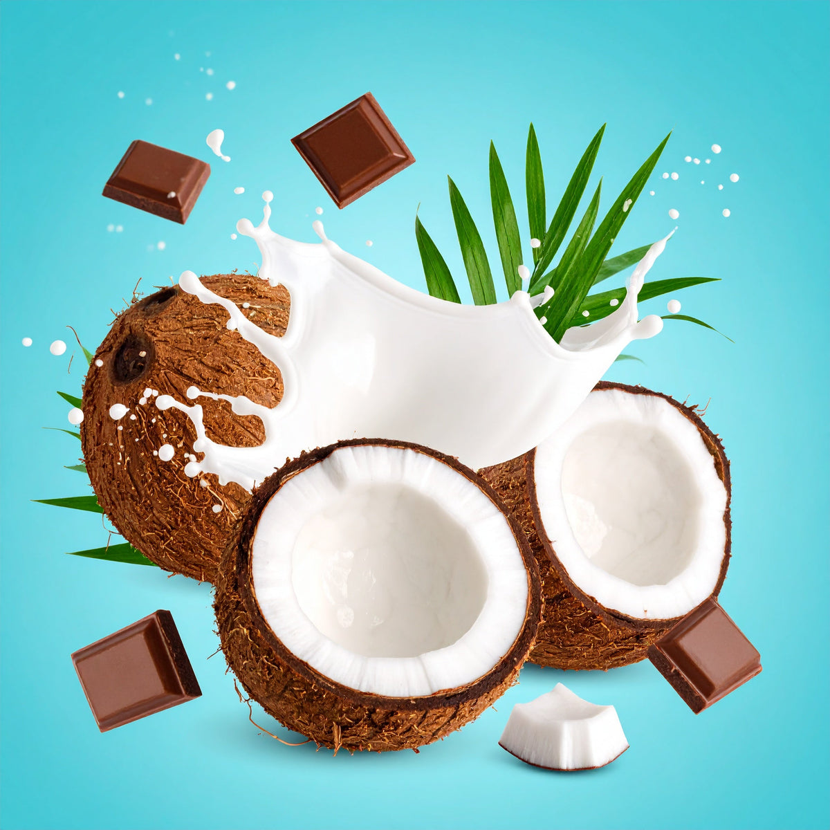 Coconut Cream