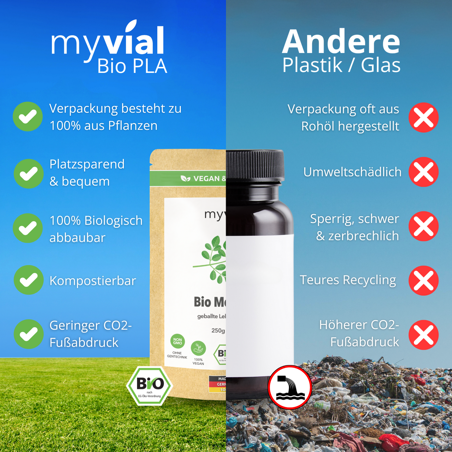 Organic Moringa Powder