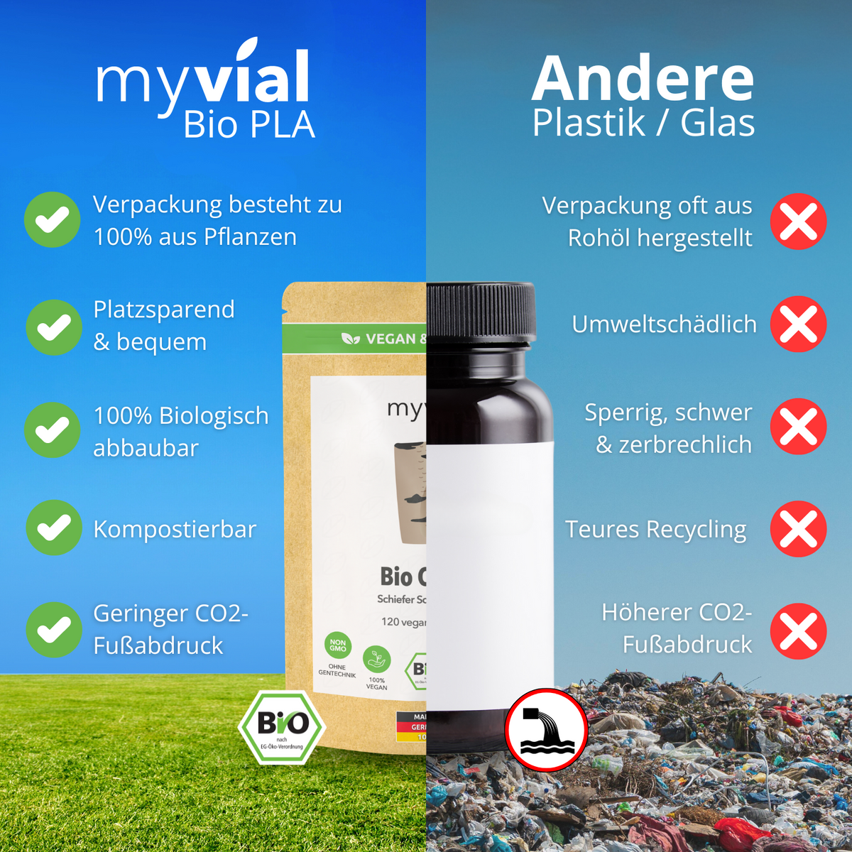 Organic Chaga Capsules