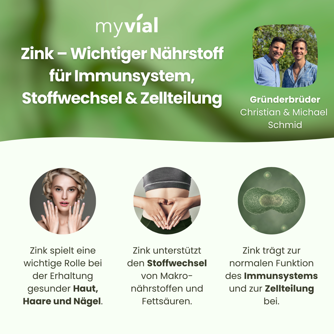 Infografik von myvial zu Zink für Immunsystem, Stoffwechsel und Zellteilung.