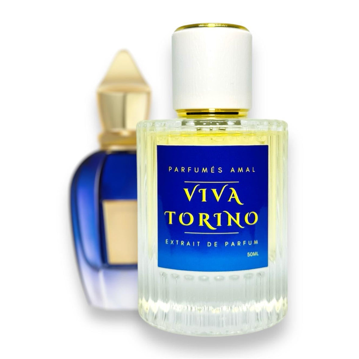 Viva Torino