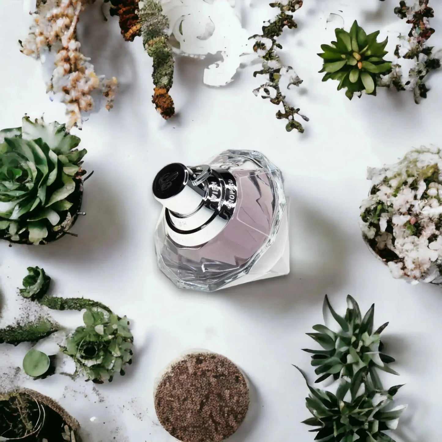 Diamantförmiges Parfumflakon, umgeben von Sukkulenten und Trockenblumen auf weißem Hintergrund.